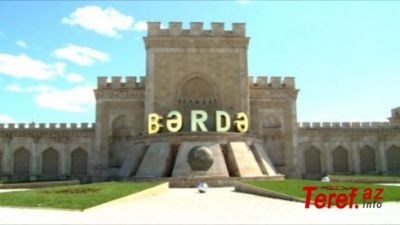 Bərdədə odun peçi ilə qızınan sakinlər meyvə ağaclarını kəsib yandırmağa məcbur olur