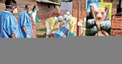 Müalicəsi olmayan virus epidemiyaya çevrildi! – Səkkiz yeni yoluxma