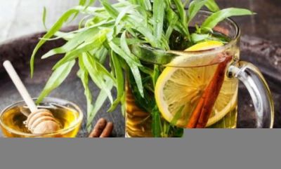 Tərxun, limon və bal qarışımı –