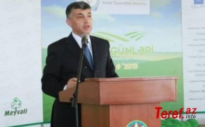 “Gömrük işi"ndə Əbülfəz Məlikovun həbsinin detalları - Eksklüziv