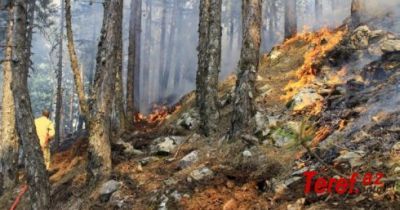 Avropada meşə yanğınları - Avtomobil və dəmir yolları bağlandı