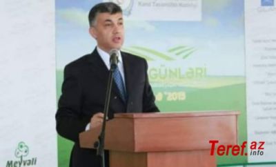 "Broker Əbülfəz"in həbsinin SƏBƏBLƏRİ - FOTO