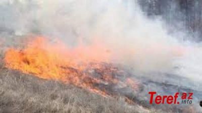 Kəlbəcərdə erməni təxribatı: meşələri yandırmağa başlayıblar -