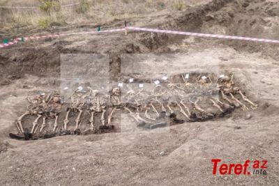 Müharibə videosu ilə bizi qınayanlar, Edillidə kütləvi məzarlığı görməzdən gəlir...
