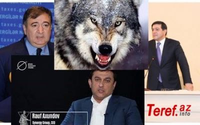 "Synergy Group” MMC-də törətdiyi total talama faktlarına görə Rauf Axundov məsuliyyətə cəlb oluna bilər