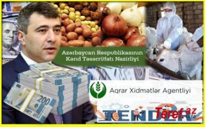 Maraqların rol oynadığı qaranlıq TENDERLƏR -