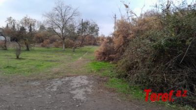 b_400_300_16777215_00_https___teref.az_uploads_posts_2022-12_1670831032_2.jpg