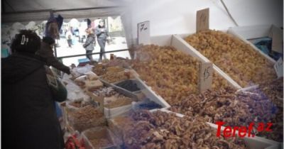 “Camaat kişmişi, ləpəni 20-30 qram alır” –