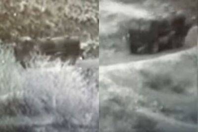 MN: “Sülhməramlı kontingent qanunsuz daşımaları müşayiət edir” - VİDEO