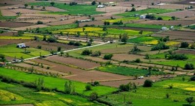 Azərbaycanda bu şəxslərə güzəştlə torpaqlar veriləcək –
