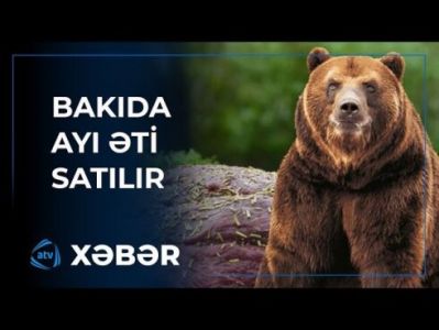 Bakıda ayı əti SATILIR - İDDİA