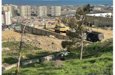 Badamdarda sürüşmə zonasında 40 illik şam ağacları məhv edildi — Yerində obyekt tikən kimdir?/FOTOLAR