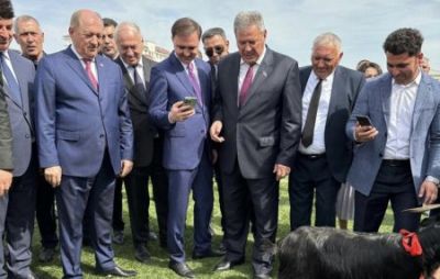  İcra başçısı bacısı oğlu ilə birlikdə xoruz döyüşdürdü - FOTO