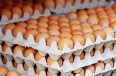 Makretlərdə köhnə yumurta satılır — Necə ayırd edək?