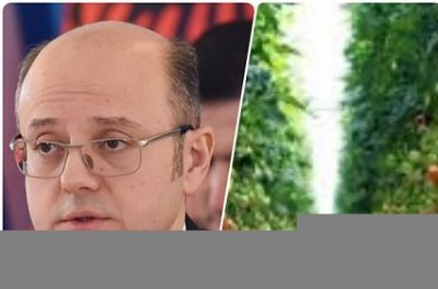 Əmisi oğlu ilə “parnik” salan nazirin pulu batdı - 