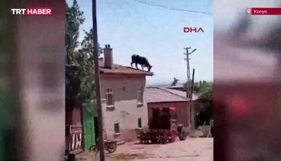 b_400_300_16777215_00_https___cdn.musavat.com_news_thumbnails_b2e0026d9b3ec9ac462d4d6b1596c59c.jpeg