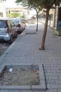 Günün fotosu: