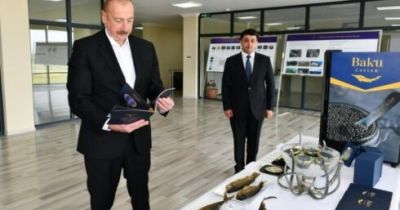 Prezident icra başçısının səhvini tutdu: