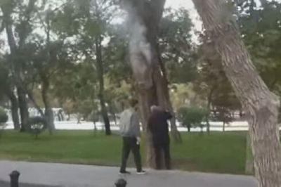 Bakıda Sahil bağında ağacı yandırmaq istədilər- VİDEO