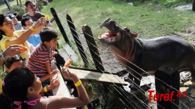 b_400_300_16777215_00_https___teref.az_uploads_posts_2023-11_1700329021_2.jpg