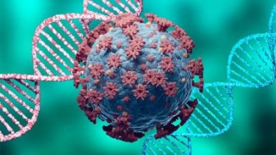 Yeni koronavirus ştammı qapımızı döyəcək? - AÇIQLAMA
