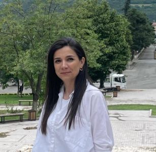 Dövlət Ekoloji Ekpertiza Agentliyi maşının üstünə aşmış ağacla bağlı məsələyə aydınlıq gətrdi