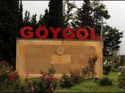 Göygöldə dəhşət: 2 yaşlı uşaq vəhşicəsinə döyüldü - FOTO