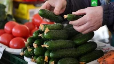 Pomidor və xiyar ucuzlaşdı - SƏBƏB?